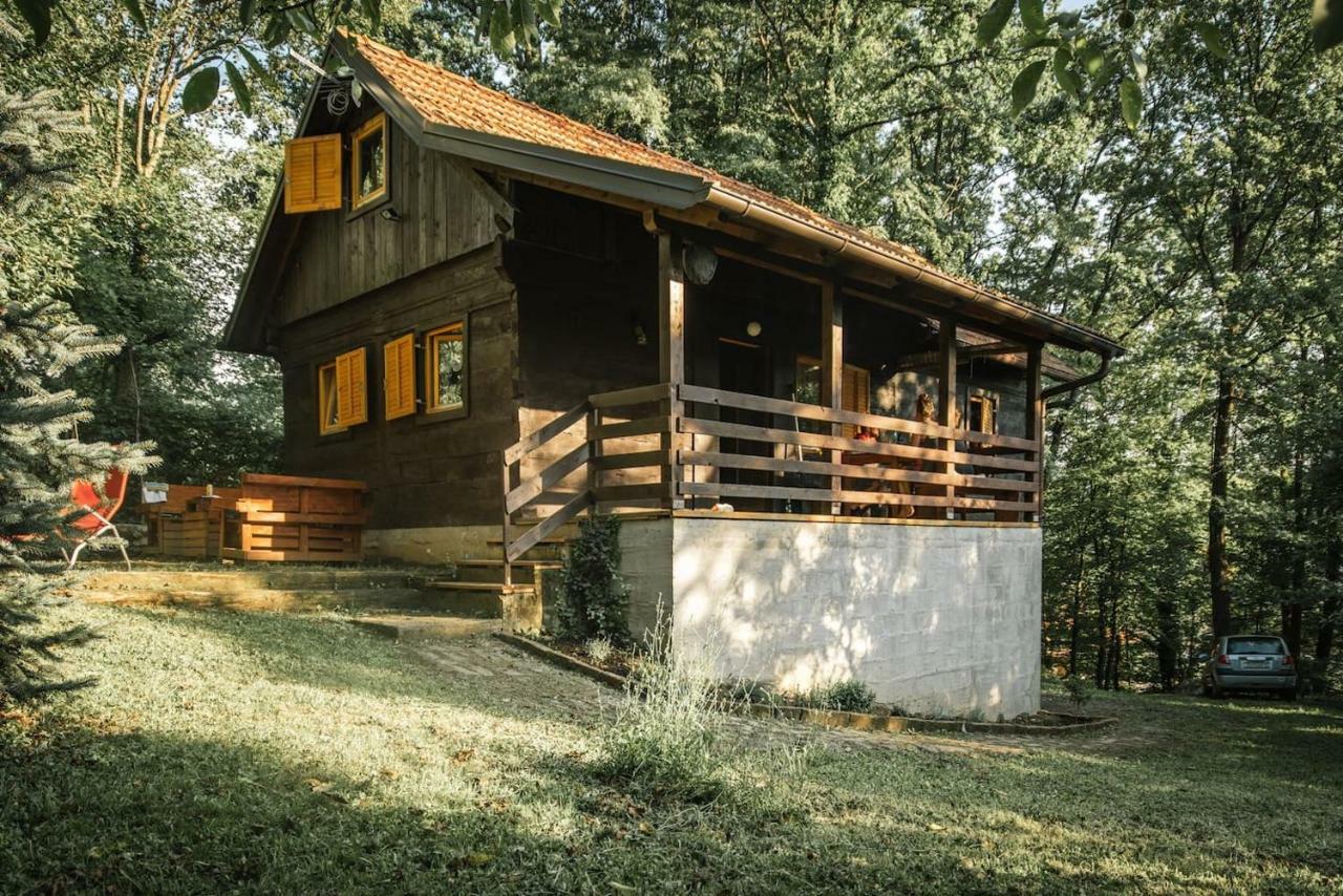 Wooden House Near The River Kupa Kamanje Zewnętrze zdjęcie
